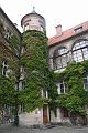 photo_7_11